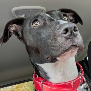 Meet your Posher, Joseline